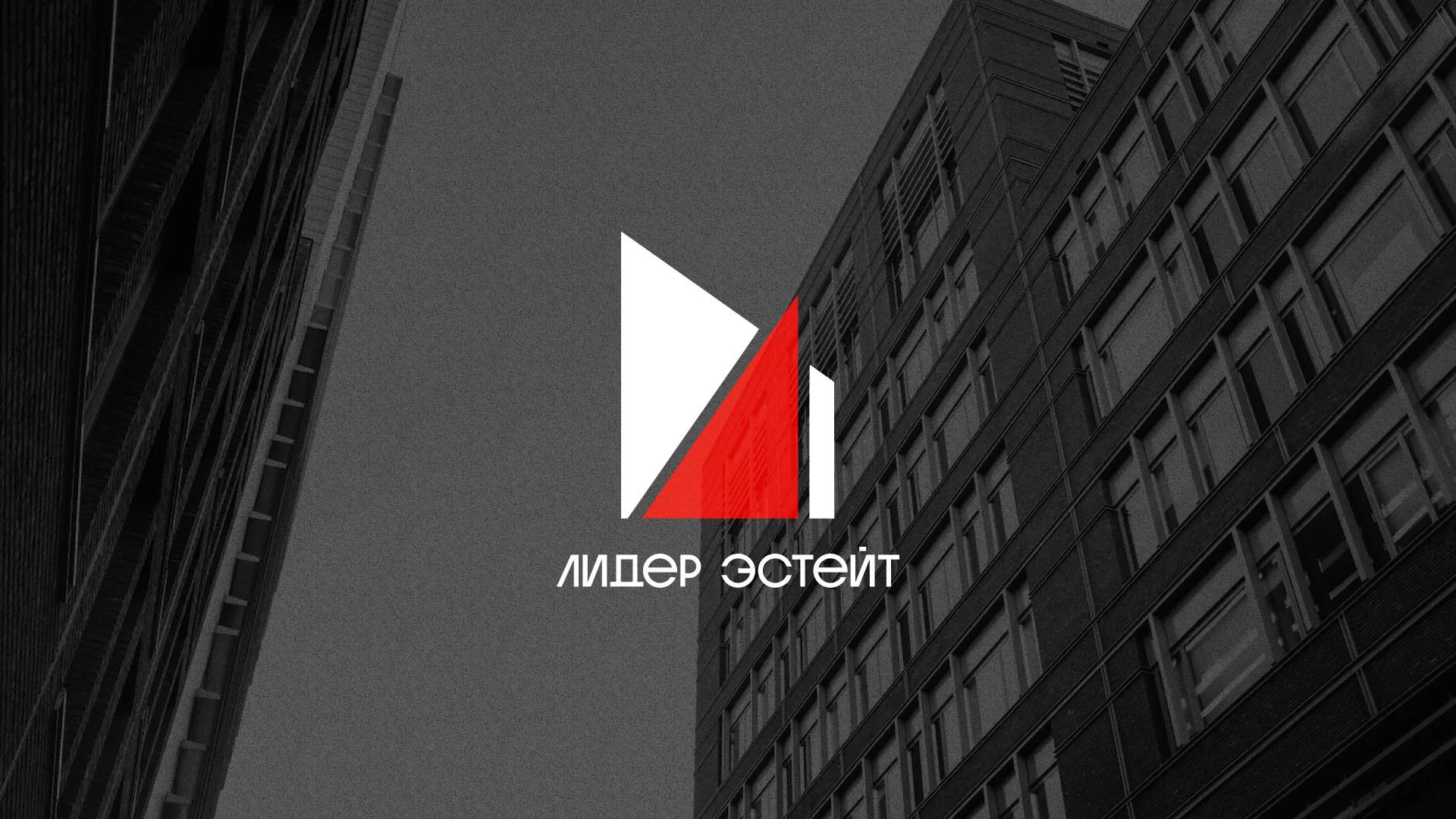 Сделали логотип для агентства недвижимости «Лидер Эстейт» в Североуральске